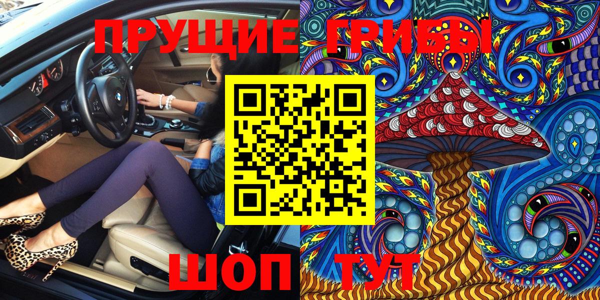 Псилоцибиновые грибы Psilocybe Заводоуковск