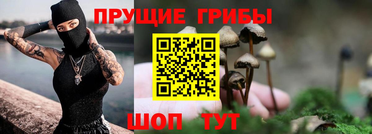Заводоуковск  где купить наркотик  Вход с VPN  Псилоцибиновые грибы Psilocybe 
