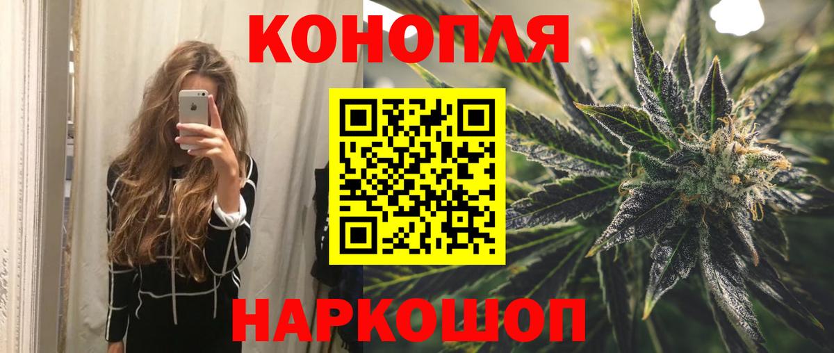 Бошки Шишки гибрид Заводоуковск